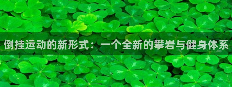 意昂4娱乐平台:倒挂运动的新形式:一个全新的攀岩与健身体系