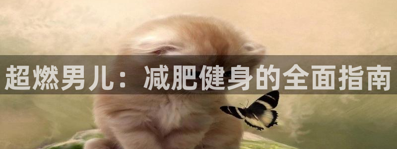意昂4娱乐首页网站大全:超燃男儿:减肥健身的全面指南