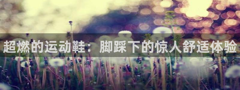 意昂体育4招商电话号码是多少啊:超燃的运动鞋:脚踩下的惊人舒