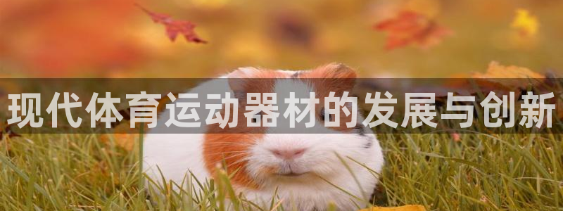 意昂体育4注册:现代体育运动器材的发展与创新
