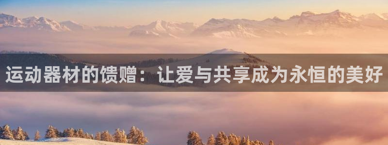 意昂平台体育:运动器材的馈赠:让爱与共享成为永恒的美好